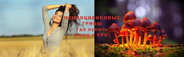 MDMA Premium VHQ Нязепетровск