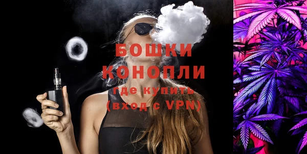 первитин Новодвинск